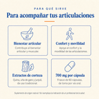 Artri Reuma Plus — para qué sirve