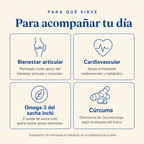 Curcumina & Omega3 forte — para qué sirve