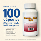 Curcumina & Omega3 forte — 100 cápsulas por frasco