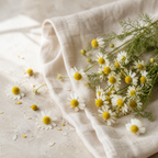 Derma Body Nature — sus ingredientes