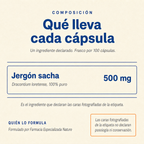Jergón sacha 500 mg — composición: un ingrediente declarado, 500 mg por cápsula