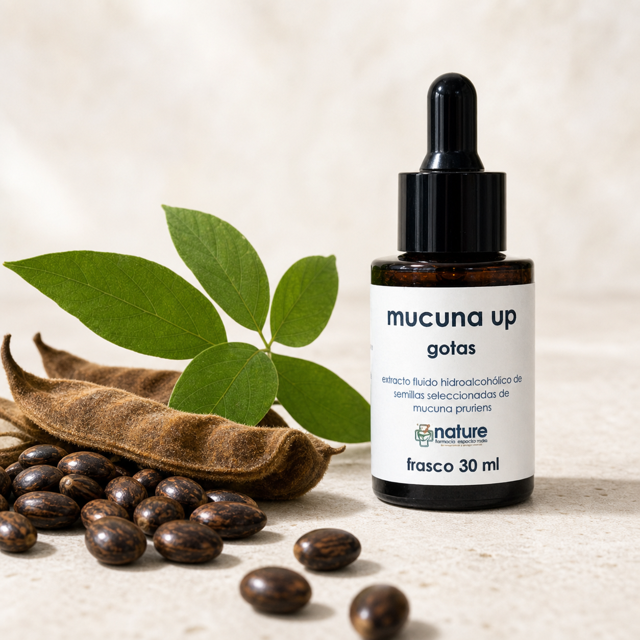 Semillas y vainas de mucuna pruriens junto al frasco de Mucuna Up